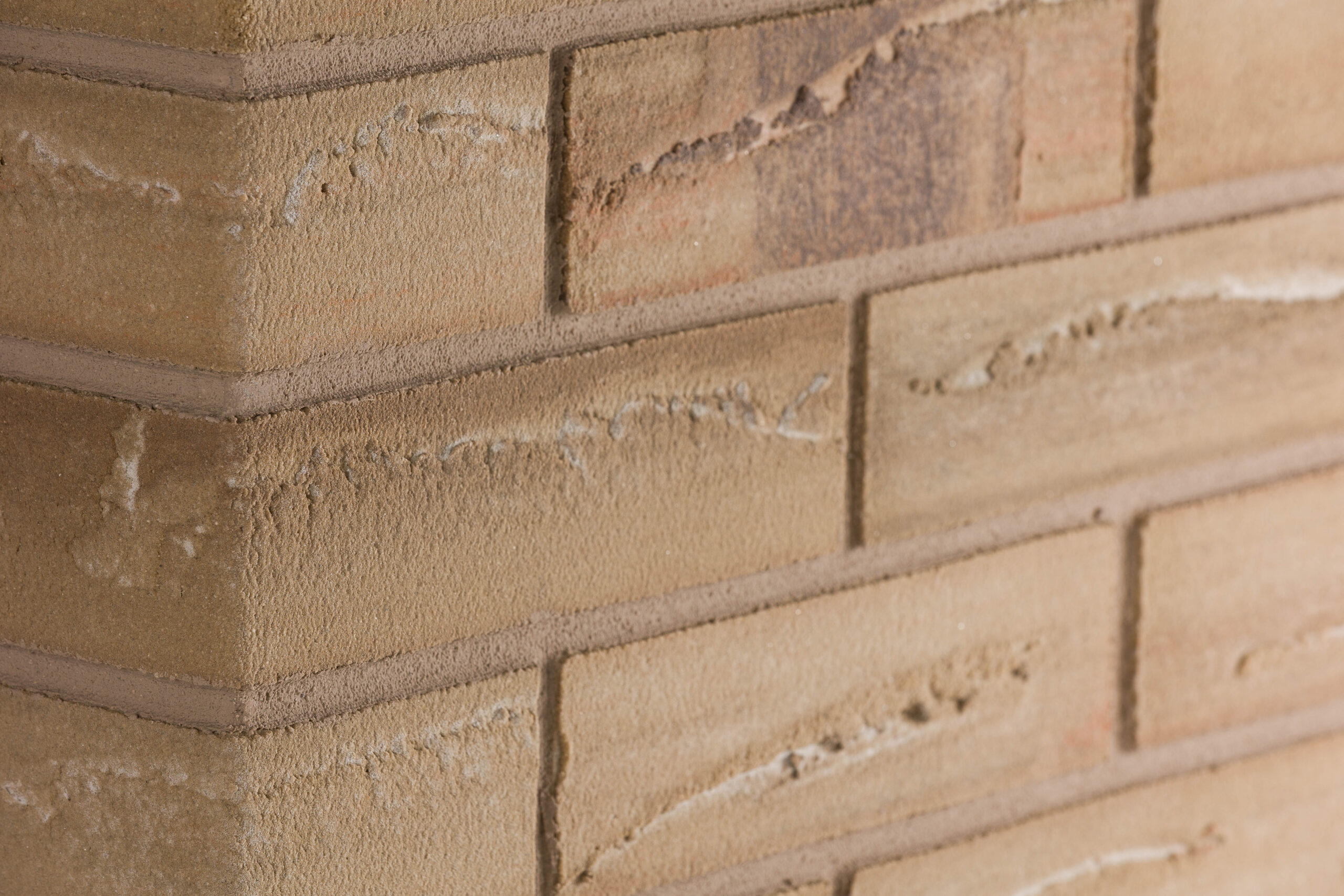 Corisca (Honey Gold) Corner 240/115x71mm - Image 2